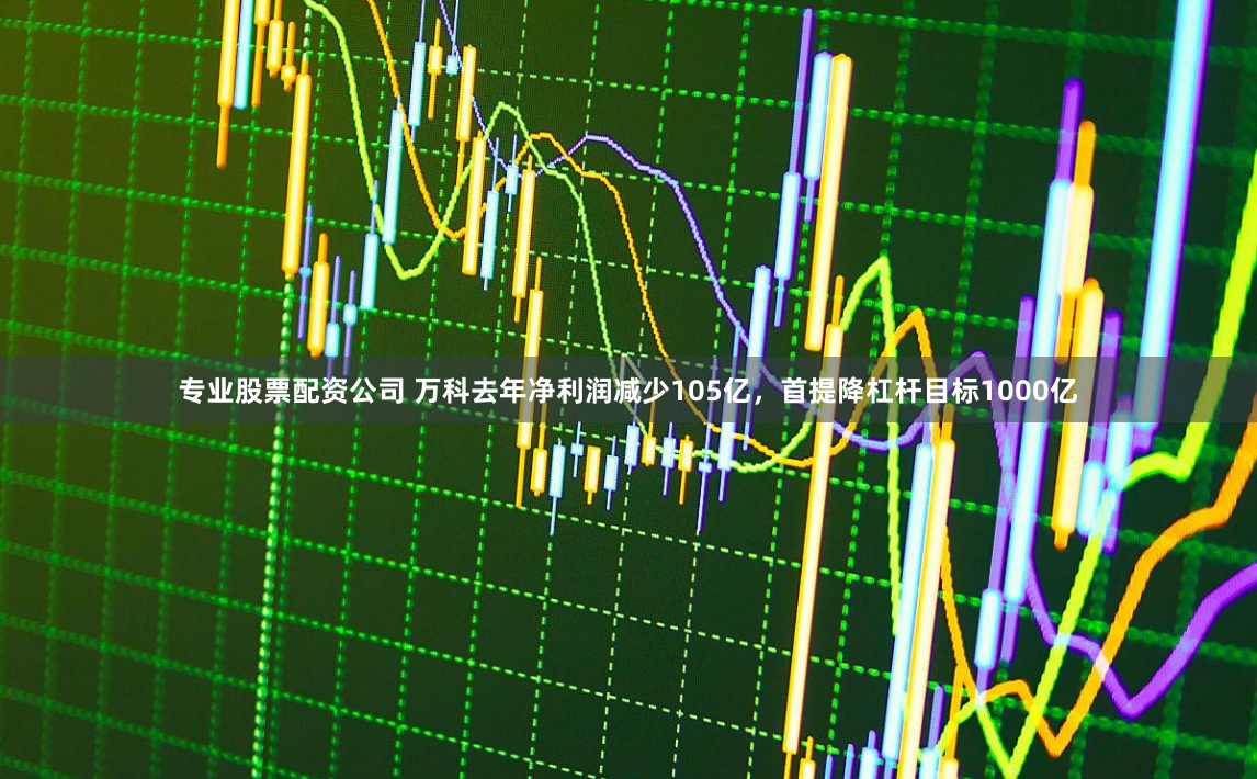 专业股票配资公司 万科去年净利润减少105亿，首提降杠杆目标1000亿