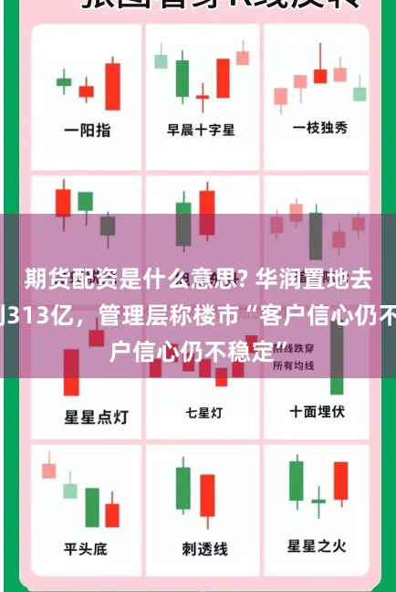 期货配资是什么意思? 华润置地去年盈利313亿，管理层称楼市“客户信心仍不稳定”